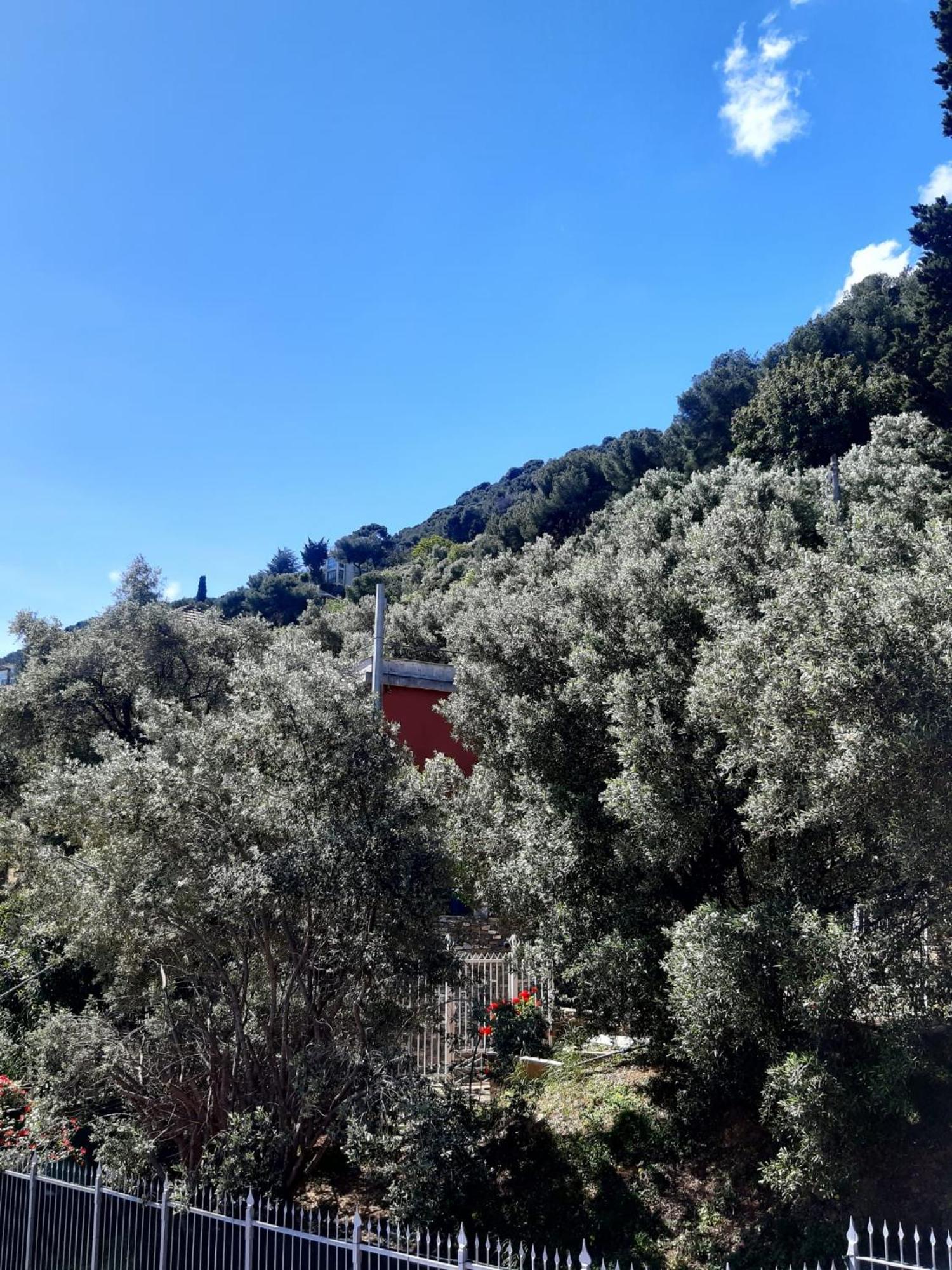 Appartamento con splendida vista mare e golfo Laigueglia Esterno foto
